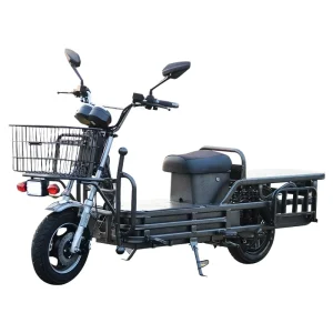 Home Cargo Electric Bike Shelf Meal Delivery Electric Cargo Two Wheel Electric Cargo Bike