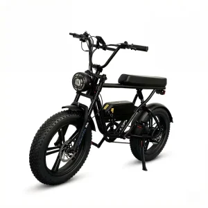 Hot Selling Electric Bikes 48V 500W 20″ Fat Tire Electric Cycle for Adults Teens