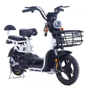 Hot Selling Powerful Electrical Bicycles Electric Bike Bikes From China Electrical Motor Bike Fat Tire High Speed Electric Cycle