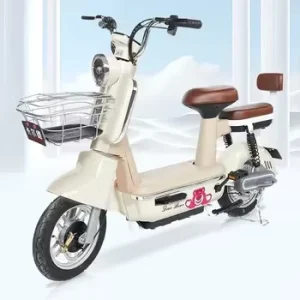 Hot Selling Powerful Electrical Bicycles Electric Bike Bikes From China Electrical Motor Bike Fat Tire High Speed Electric Cycle