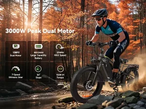 Hybrid Electric Bike (Urban & Recreational Fat Tire Double Seat Operational)