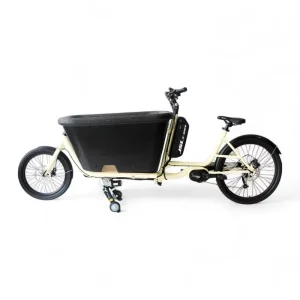 Hybrid Electric Cargo Bikes 2 Wheels Electric Cargo Ebike E cargo Family E Bicycle