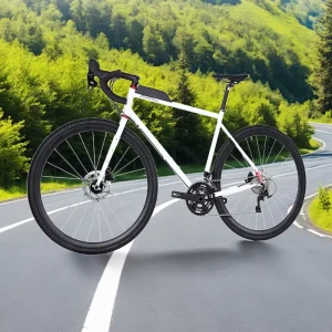 JAVA BRECCIA 22 Speed Vintage Touring Light OEM Classic 700C Disc Brake Gravel Bike Chromium molybdenum Steel Bicycle