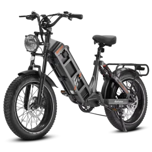 Juliet Eahora 90-120 Nm Custom Motor-Powered Electric Bicycle, Fat-Tire Hybrid Urban Road Cargo Off-Road E-Bike for Adults
