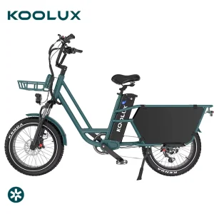 KOOLUX X7 PRO 750W Cargo Electric Tricycle EU Standard 25km/h Food Delivery European Stock Drop Shipping City Ebike