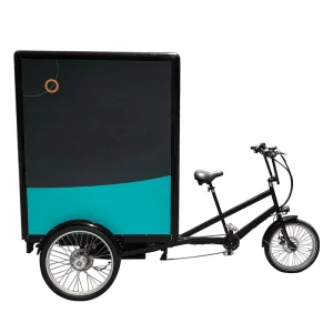 KUAKE Fast Delivery 7 Speed Gears 3 Wheel Electric Heavy Duty Cargo Bike with Box for Adults
