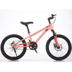Kids 20/22 Inch Boys Mountain Bike with High-Carbon Steel Frame Disc Brake Full Shockproof Frame Made in China