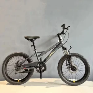 Kids Bicycle Single Speed Folding Carbon Fibre Frame Training Wheels 20″ Wheel Size