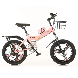 Kids Bikes for 10 Years Old Child OEM Baby Children Cycle Sepeda Anak Stock 20/22 Inch Kids Fat Tire Mountain Bicycles