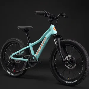 Kids Cycle 20 Inch Alloy Kids Bicycle for 5 Year Old Girls
