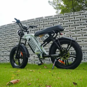 L1 Adult Fatbike 1000W 20 Inch Dirt Fat Tire 7 Speed Aluminum Alloy Frame E Bike City Hybrid Electric Mountain Bike