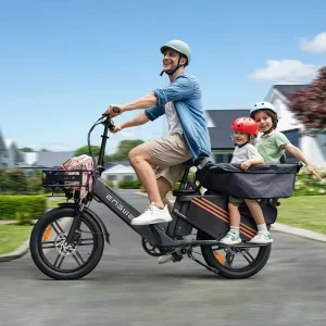 LE20 Aluminum Frame Electric Cargo Bike 48V 38.4Ah Double Lithium Battery 750W Ebike Long Range With Seat Adult Bicycle
