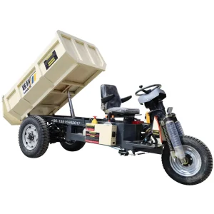 LK290 Mini Dumper Tricycle 3 Wheel Electric Motorcycle With Core Motor Engine & Gear Components Manufactured In China Used Peru