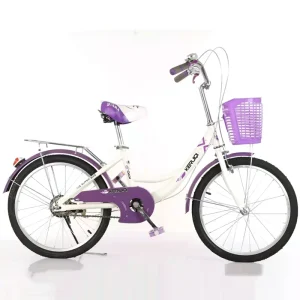 Ladies 20 22 24 26 Inch Retro Bicycle Female Women City Bicycle Bike with for Women