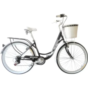 Ladies Street Cycle Bicycle Japan Curve Bike Bird Racing Classic Road Bike with Basket for Women