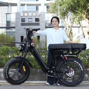 Lady E Bike Eu Warehouse Cycle Electric Fast Bike Electr Bike Woman 250w EU Ebike Fatbike VOMO X70