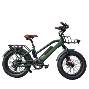Lantu Ebike 500w Step Through Fat Tire 20 Inch Retro Style Cruiser Ebike Electric Bicycle