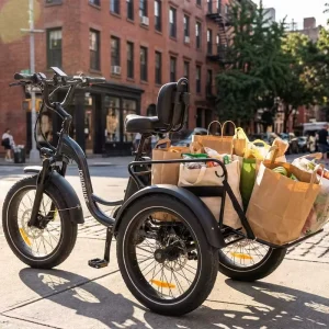 Large Capacity 150kg 48V15A 720Wh LG Battery 500W 85N.m Bafang Motor Hydraulic Brake Three-wheel Electric Bike EU Warehouse