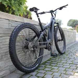 Latest E Bike Products Kirin Emtb Electric Mountain Bicycle with 9 Speed Derailleur Carbon Bike Mtb Frame Mountain Bike 29er