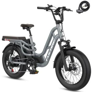 Libra 750W 48V 20Ah Lithium Battery 7 Speed Dual Suspension Mechanical Disc Brake Rear Hub Electronic High Speed Long EBIKE
