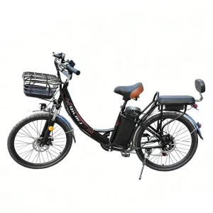 Lightweight 2 Wheel specialized Electric Mountain Bike Adult Folding Electric Bicycle