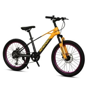 Lightweight 20inch Kids Mountain Bike 7 Speed Disc Brake Sport Cycle for Boys