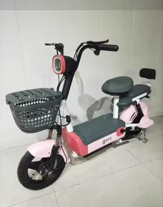 Lightweight Electric Bike Urban Commuting Two Person Travel