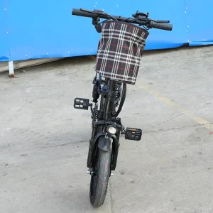 Lightweight Mini Size Folding Electric Bicycle Electric City Bike Electric Bicycle Folding Bike