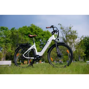 Lithium Battery 250W Motor Steel Aluminium Alloy Youth Electric Mountain Bike Electric City Bike for Adults