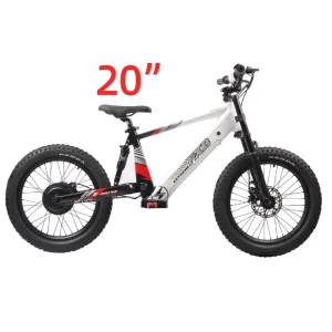 Lithium Battery 36V Motorcycle Electric City Bike for Kids Folding Motor Bike 800W Digital Smart Type Ebike Bicicleta