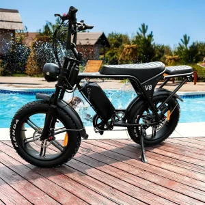 Local Spot Factory V8 Electrically Bike 48V Mountain Ebike Fatbike V20 Dirt Bicycle Electric Hybrid Bikes