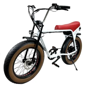 Long Battery Life Fat Tire Ebike 36V 250W Off Road Electric Moutain Bike