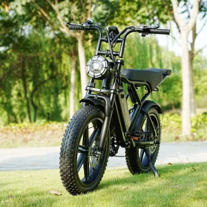 Long Battery Life Fatboy 25km/h Max Speed Adult Electric Bike Holiday Surprise