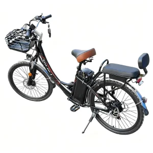 Long Cruising Range Fat Tire Electric Mountain Bike Electric Mountain Bike for Adults