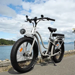 Long Range 48V 500W Electric Fatbike Beach Cruiser with Disc Brake for Electric Bicycle Sharing Rental