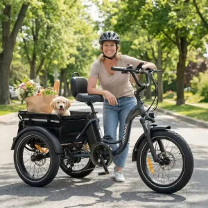 Long Range 48V15A 720Wh LG Battery 500W 85N.m Bafang Motor Hydraulic Brake 150kg Capacity Three-wheel Electric Bike
