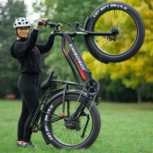 Long Range 48V20Ah LG Battery 500W Motor Hydraulic Brake Full Suspension 8 Speed Mountain Electric Bike for Outdoor Enthusiast