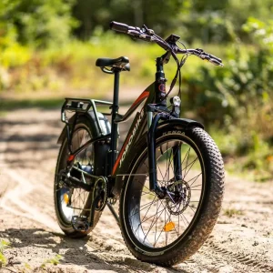 Long Range 48V20Ah LG Battery 500W Motor Pedal Assist Hydraulic Brake Full Suspension 8 Speed Fat Tire Electric Bike EU Stock