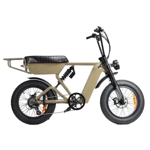 Long Range Dual Battery 20″ Fat Tire Adult Mountain Electric Bicycle Bike With 350W 500W 750W Motor E Bike Velo Electrique