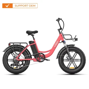 Long Range Electric Bike 20 Inch Fat Tire 48V13Ah Battery 250W Motor Electric City Bicycle for Commuting OEM Factory
