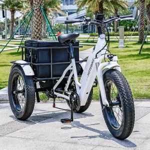 Long Range Electric Cargo Bike 36V 250W for Delivery
