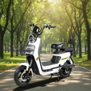 Long Range Fast Electric Bike China Electric Bike Factory High Quality Electric Bikes for Adults