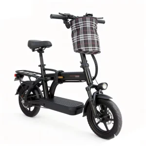 Long Range Removable Battery Easy Riding Folding City Ebike Adult Folding Electric Mountain Bike