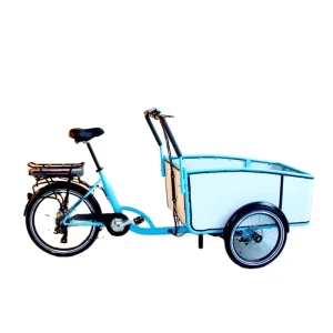 Long Tail Electric Clamber Cargo Bike With Box 3 Wheel Family Cargo Bike Bakfiet Trailer E-cargo Bike City Ebike