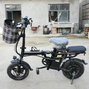 Low Price Lightweight Foldable Electric Bicycle Portable Electric Mountain Bike for Adults