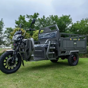 Low Speed Safety 3 Wheel Electric Tricycles with OEM ODM Fat Tire Electric Tricycles