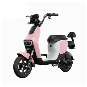 M12 500W Motor Streetbikes 48V Long Range Battery Life Powerful Electric Bike Two Wheel Adults