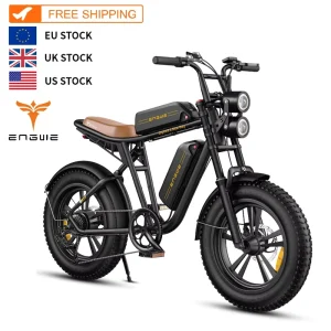 M20 Dual Battery Electric Bike 250W 48V26AH Battery Electric Mountain Bicycle 20 Inch Off Road Tyre Mens Ebike for Adults