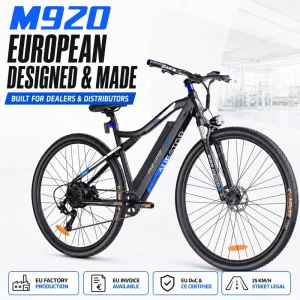 M920 Electric Bike EU Stock DDP Shipping 250W 13Ah 30-60km Range Ready To Ship No Customs Hassle