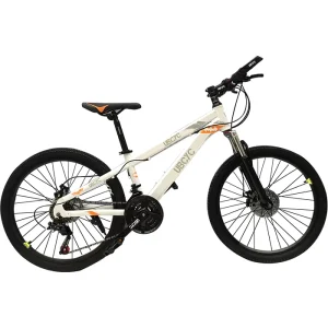 MTB Bike for Men 21 Speed Mountain Bike